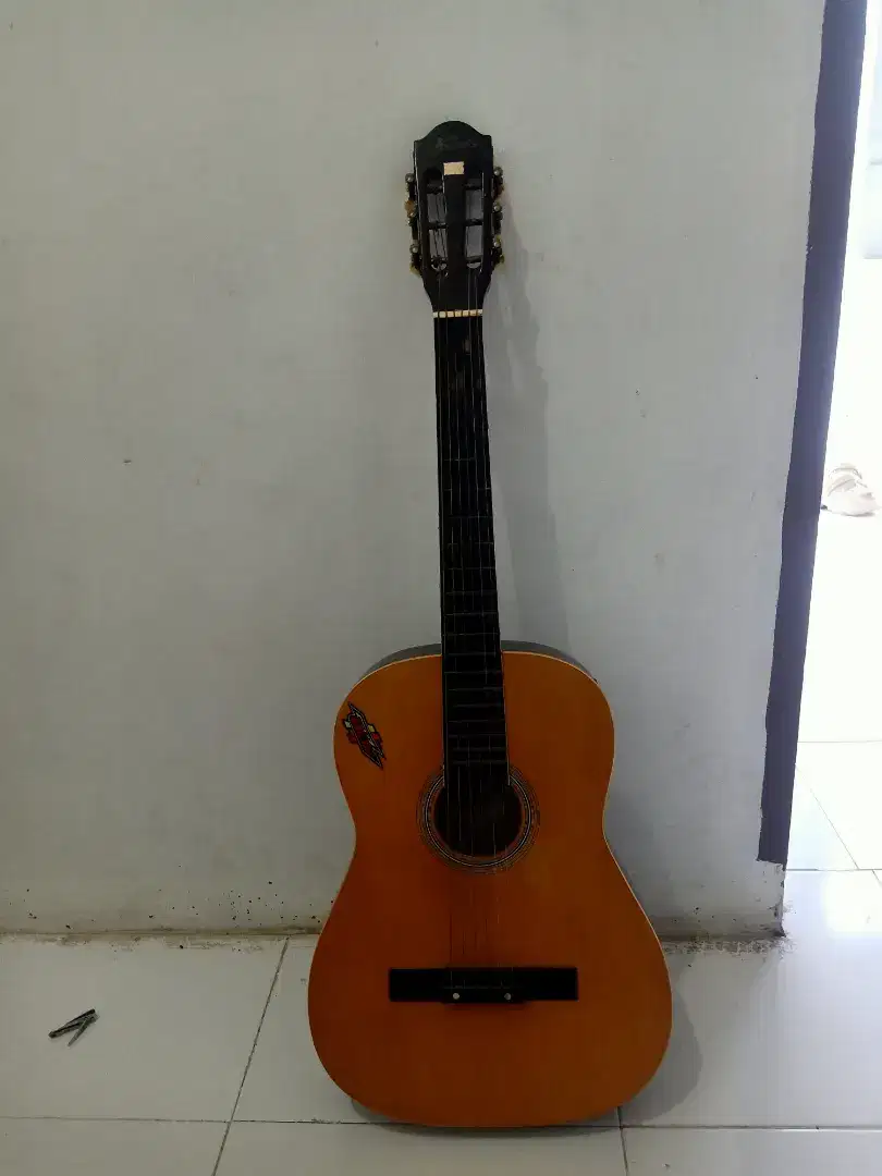 Jual Gitar akustik kapok