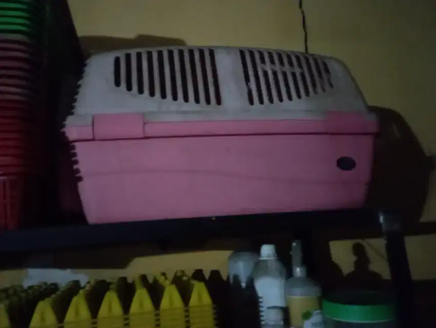Di jual pet cargo ukuran lumayan besar harga murah