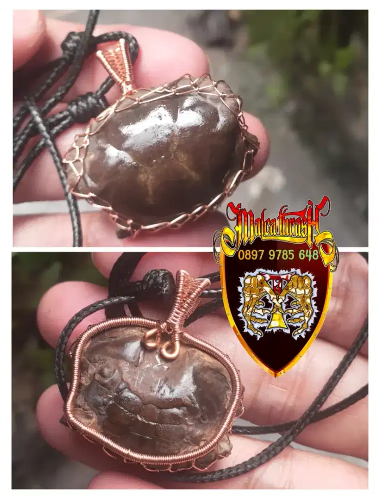 Kalung Liontin Fosil Yuyu Alami