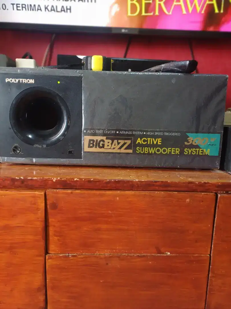 Polytron PSW 300