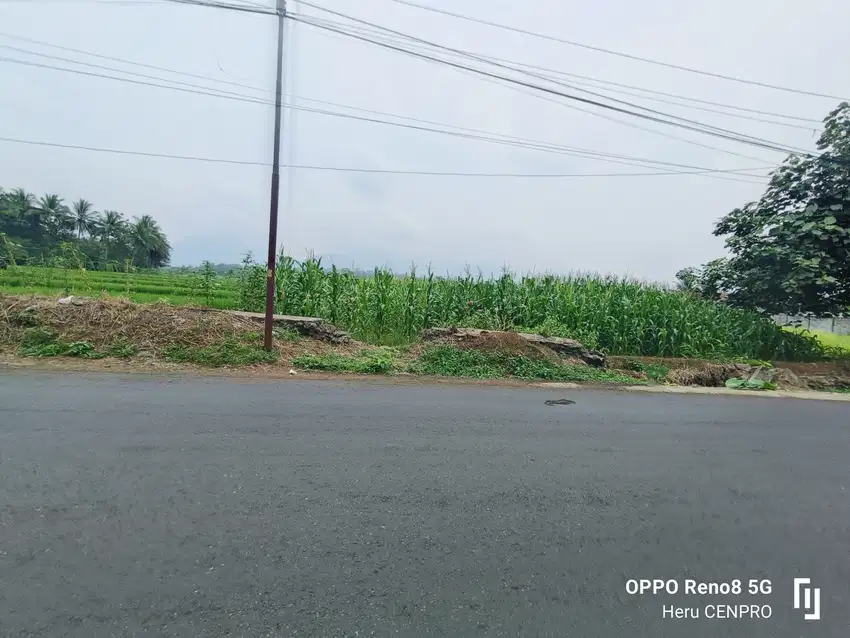 Tanah sawah jln raya Karanganyar Bobotsari Purbalingga