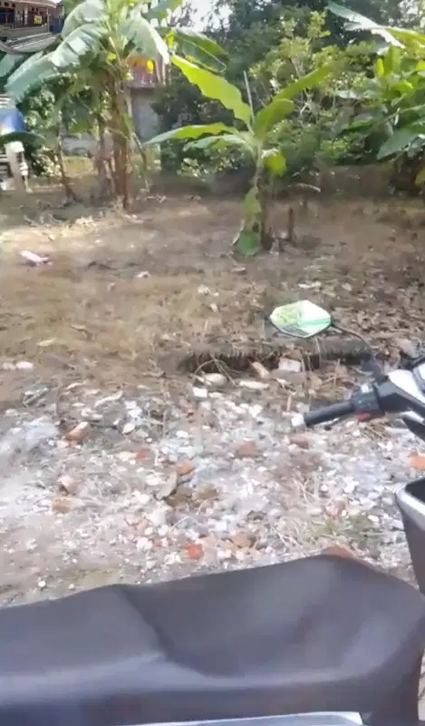 TANAH   MURAH SIAP BANGUN DI NGORO JOMBANG