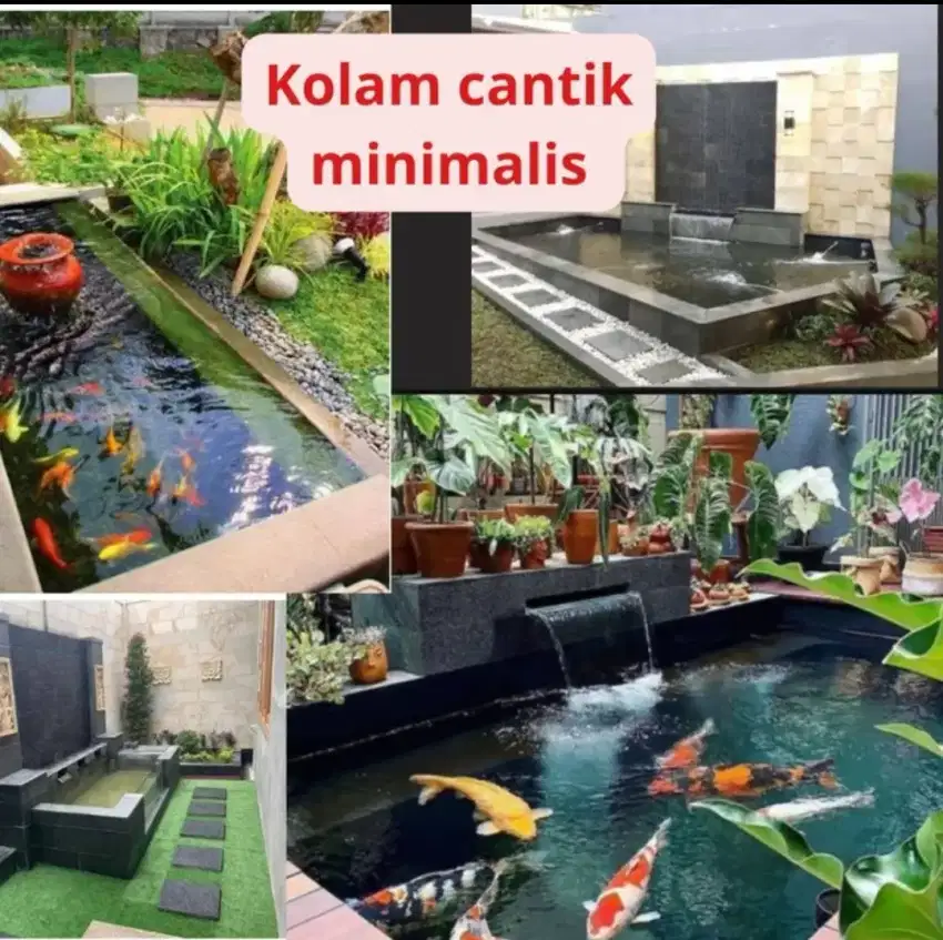 Ikan koinya pada sakit dan banyak yg mati perlu perawatan panggil kami