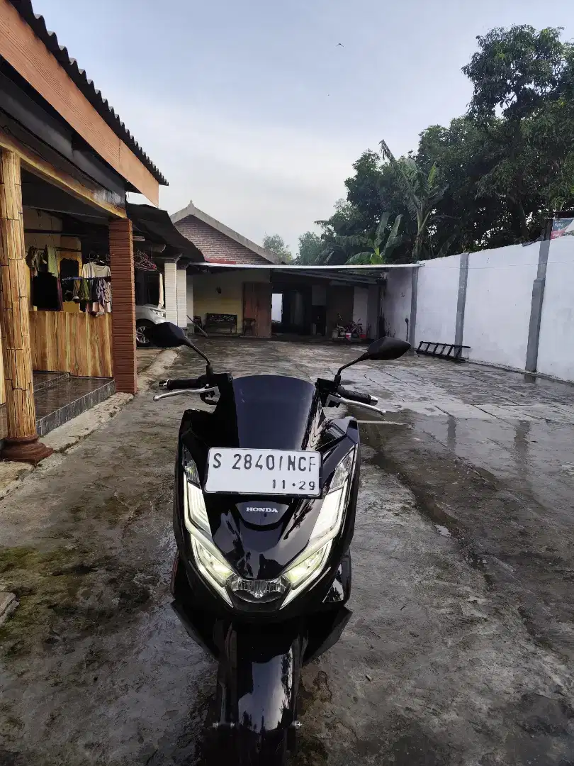 Pcx tahun 2024 plat S Mojokerto