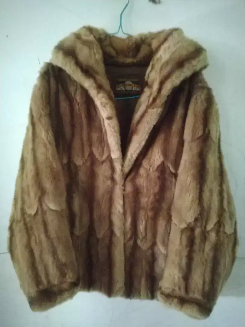 jaket musim dingin
Russian Mink Marmot