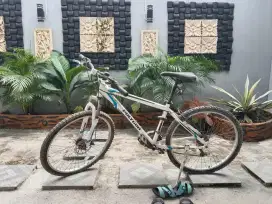 Sepeda Gunung MTB Polygon Elbrus Origin