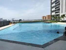Disewakan atau dijual apartemen Collins Boulevard tipe studio