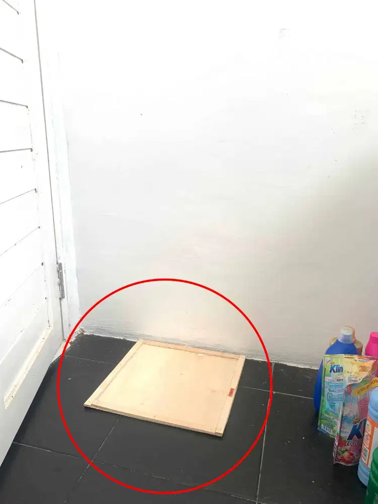 Perangkap Papan Lem Tikus Pest Control Balikpapan - RAT GLUE TRAP