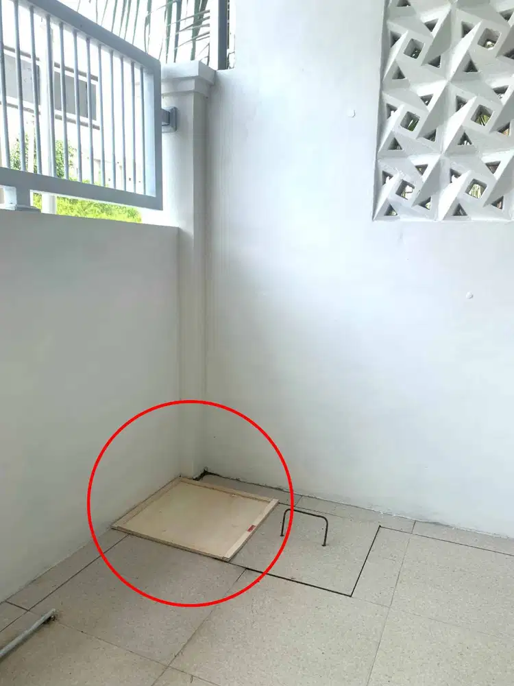 Perangkap Papan Lem Tikus Pest Control Balikpapan - RAT GLUE TRAP