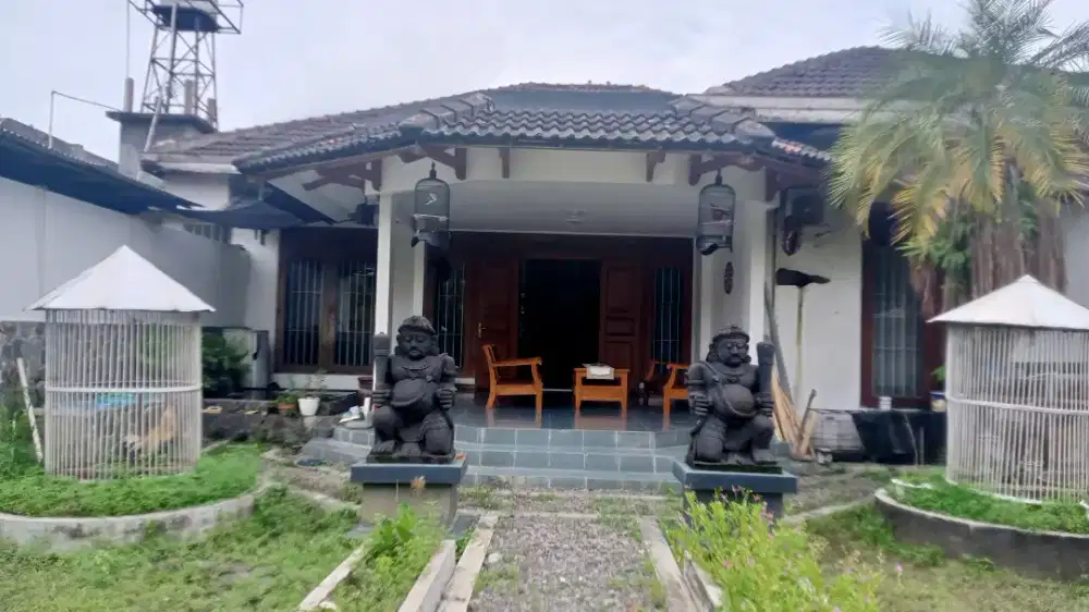 Rumah Murah Dalam Kota Luas asri siap huni