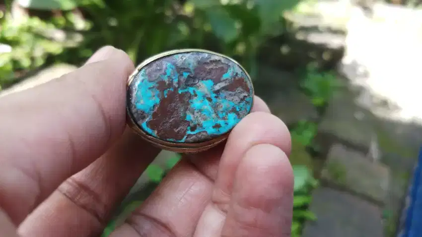 Pirus Persia Blue Fancy