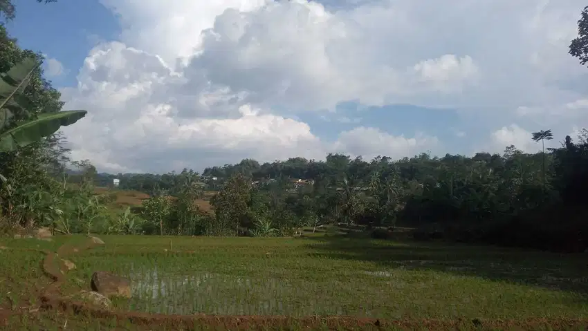 Sawah dan darat 4000 M2 Darangdan