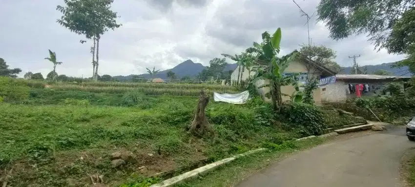 Tanah Darat dan Sawah 1020 m2 Pinggir Jalan Serangpanjang Subang