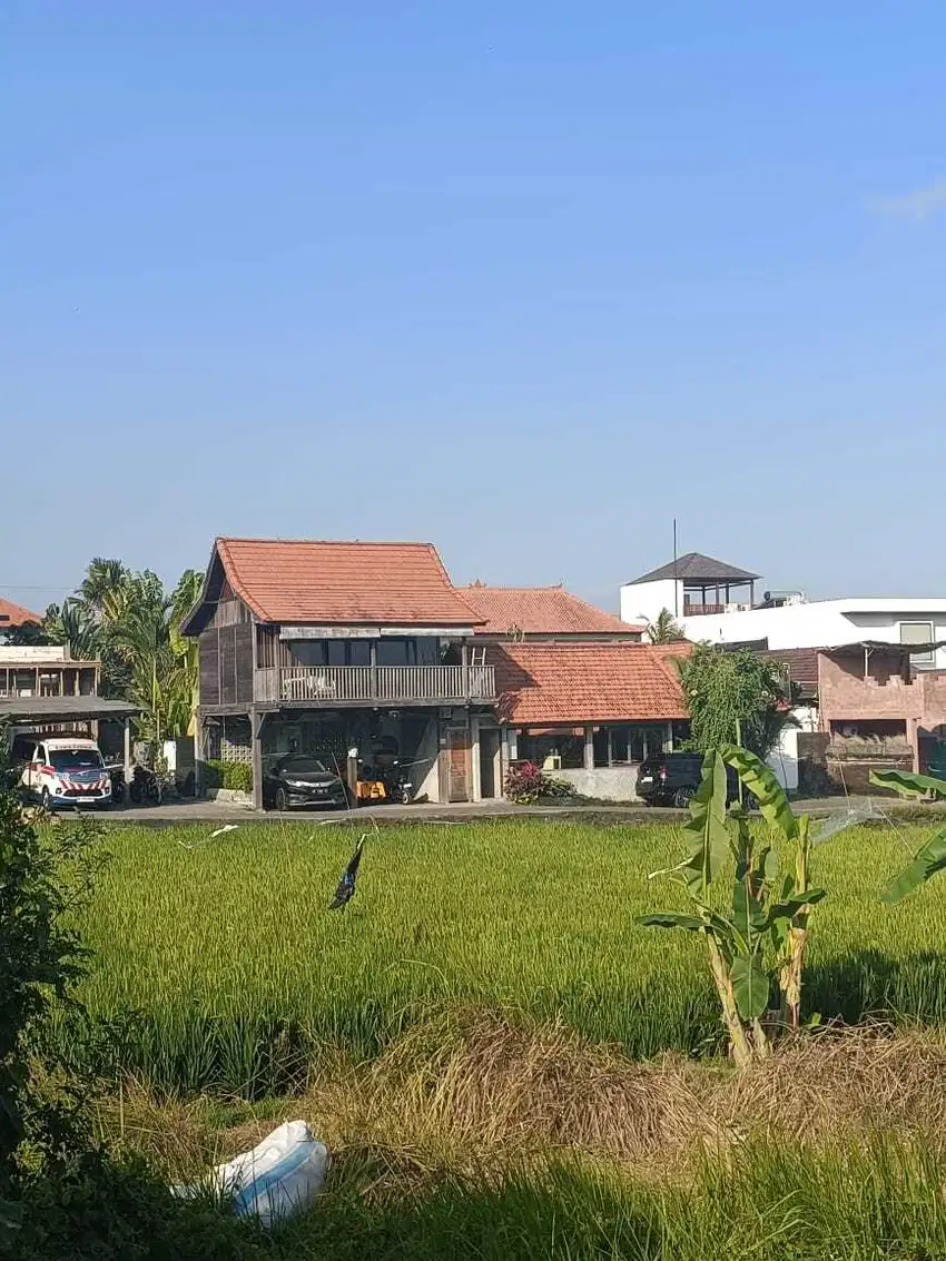 TANAH KAVLING BATU BOLONG - CANGGU