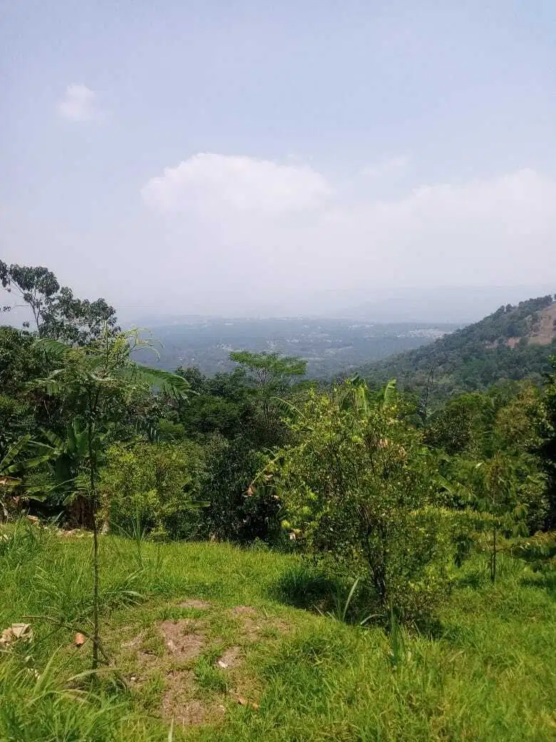 Tanah kebun murah view pegunungan