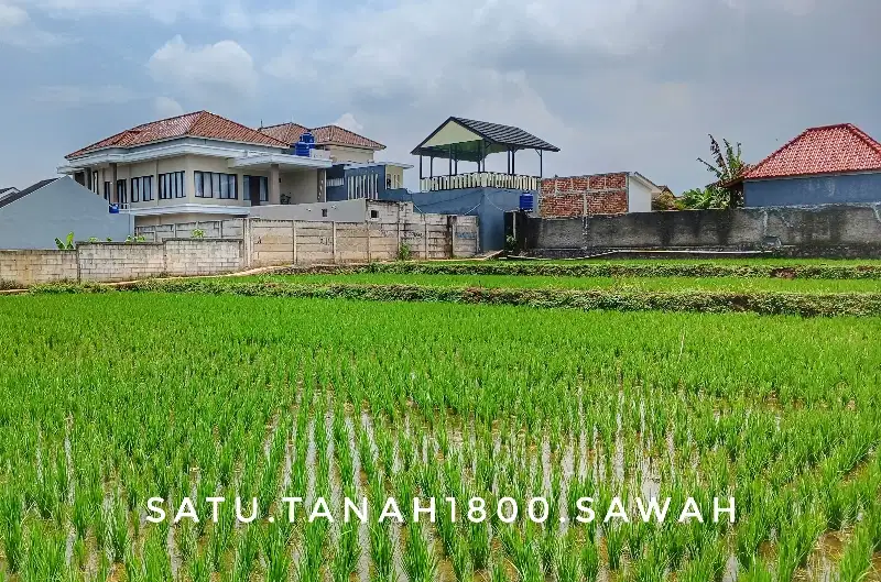 Dijual tanah sawah luas di kota mudah diakses investasi bagus