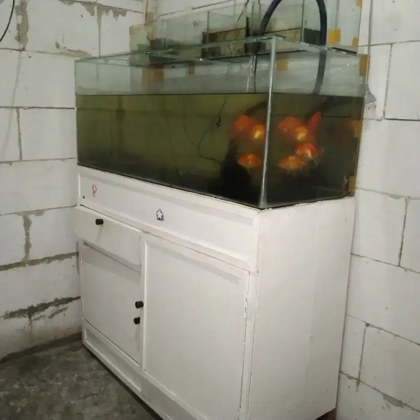 Dijual aquarium+meja