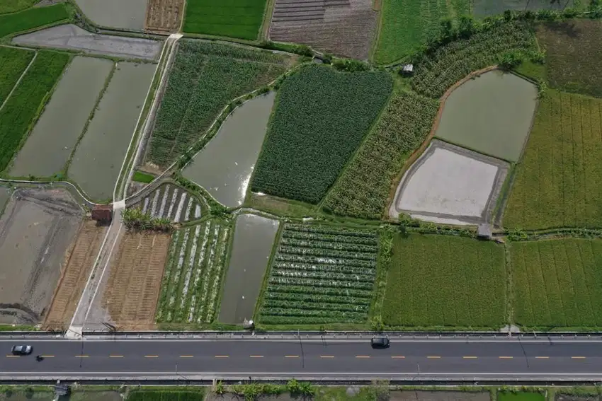 JUAL Sawah 3,5 hektar di daerah Mendut Borobudur Magelang Jateng