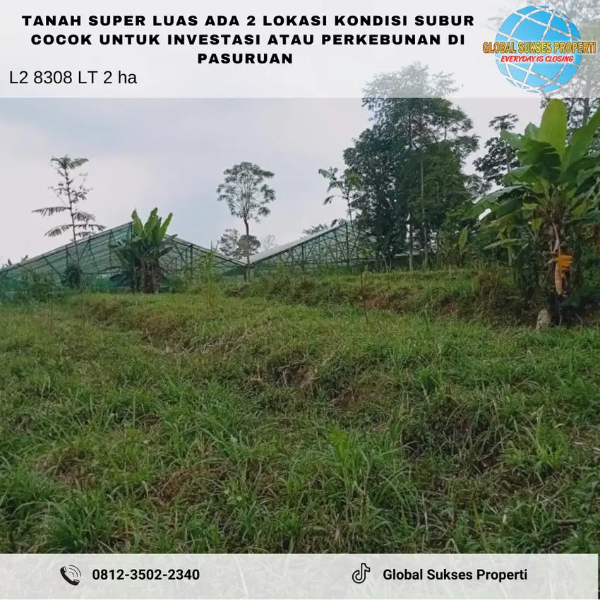 Lahan Luas Sangat Murah Utk Usaha Pertanian Atau Kebun Di Pasuruan