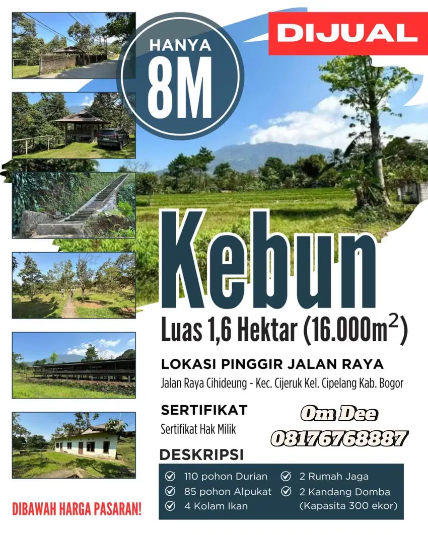 Dijual Kebun Luas 1.6 Hektar Include Pohon Durian, Alpukat Dll