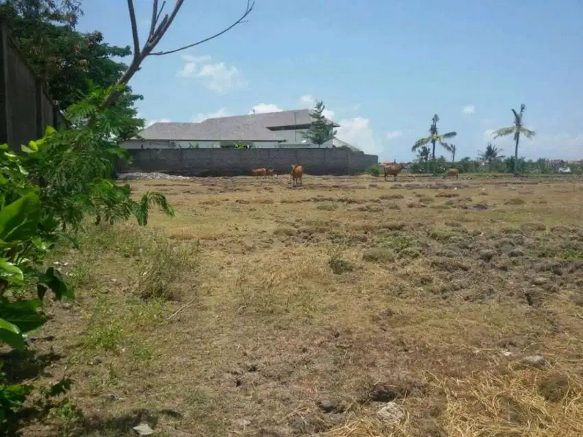 TANAH PREMIUM Pinggir jalan utama batubolong, dkt canggu brawa nelayan