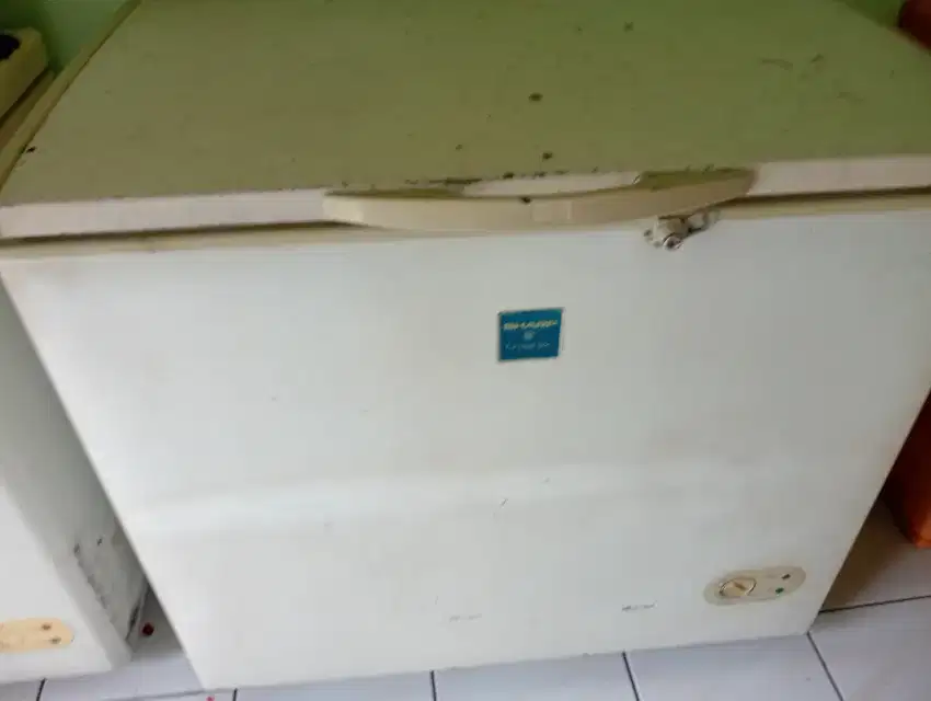 Freezer box 200l