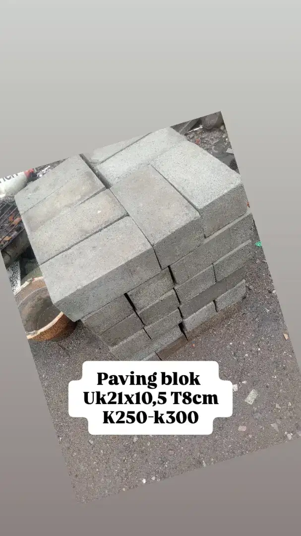 Paving blok ukuran 21x10,5 T8cm