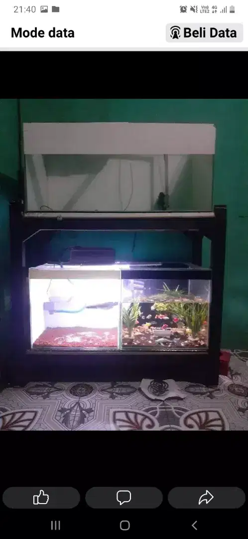 Aquarium/akuarium