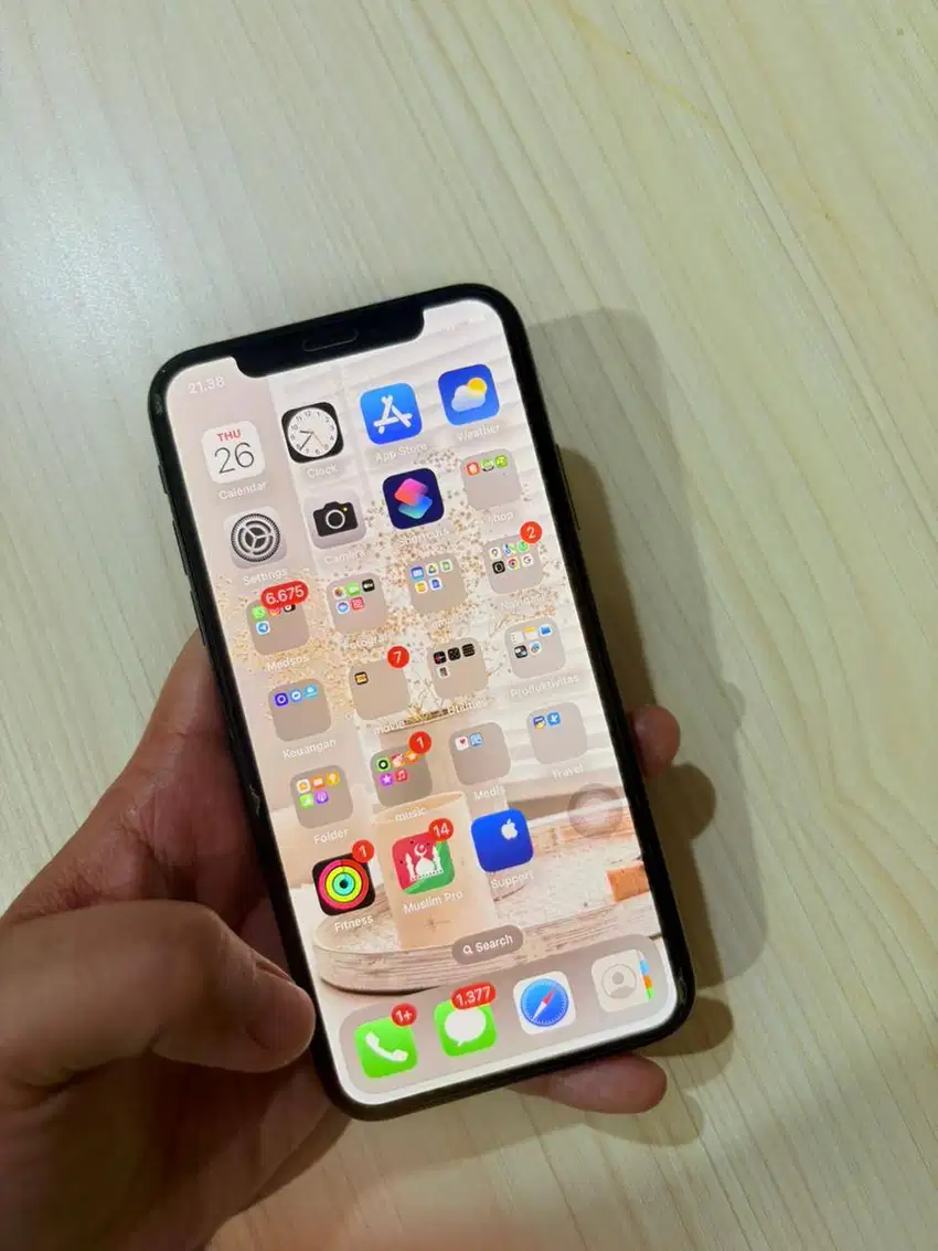 IPHONE X 64 GB (BEKAS)