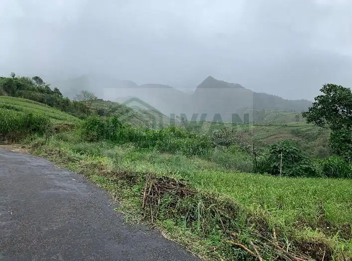 Tanah Dataran Tinggi Dengan View Juara Hadap Jalan Aspal