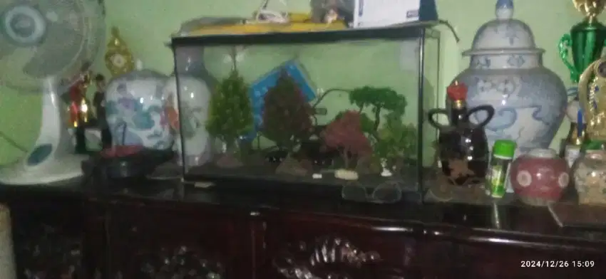 Aquarium second pribadi