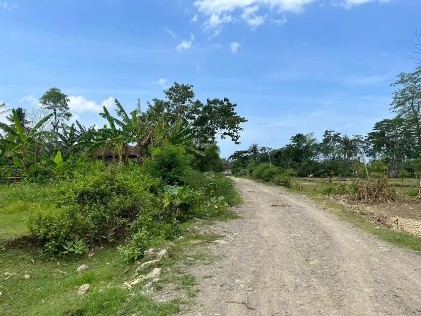 Tanah murah dekat pantai serangan Selong belanak Lombok