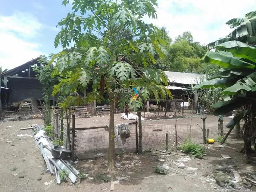 Dijual Tanah di Jalan Purnama Jogoroto, Jombang