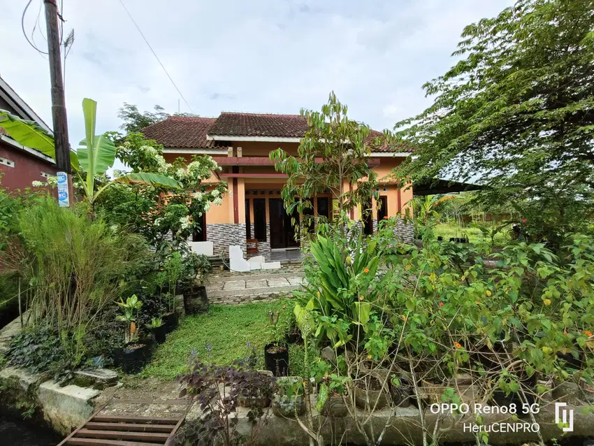 Rumah non perum nuansa pedesaan dekat pasar Padamara Purbalingga