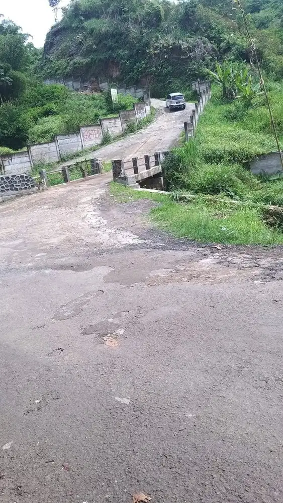 Jual Tanah Kebon di Ciambar (sebelah jalan Tol Cigombong,15 mnt)