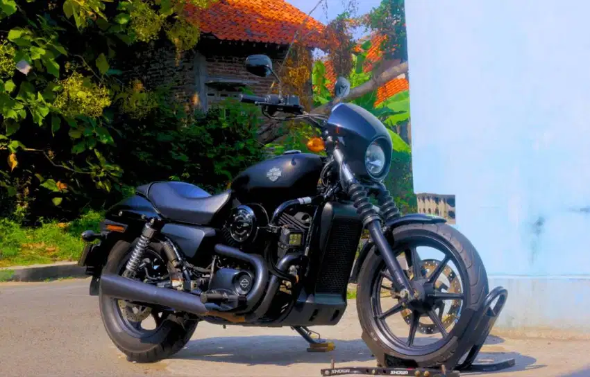 Harley Davidson street 500 vulcan s 650 sportster 48