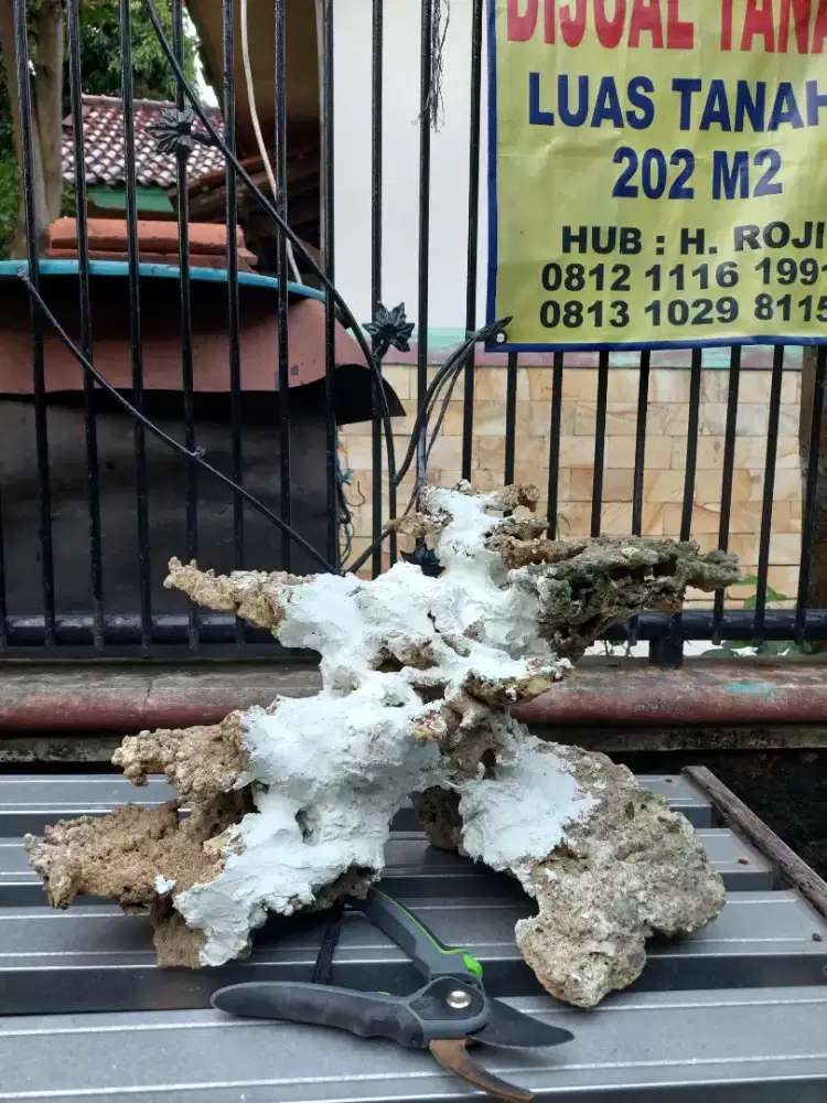 Hiasan aquarium laut