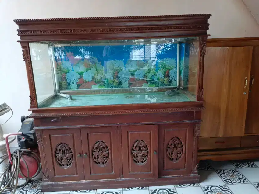 Aquarium ikan arwana