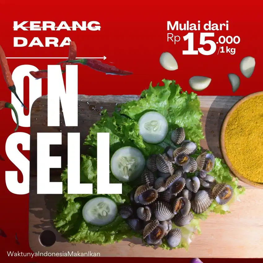 Kerang Dara Fresh