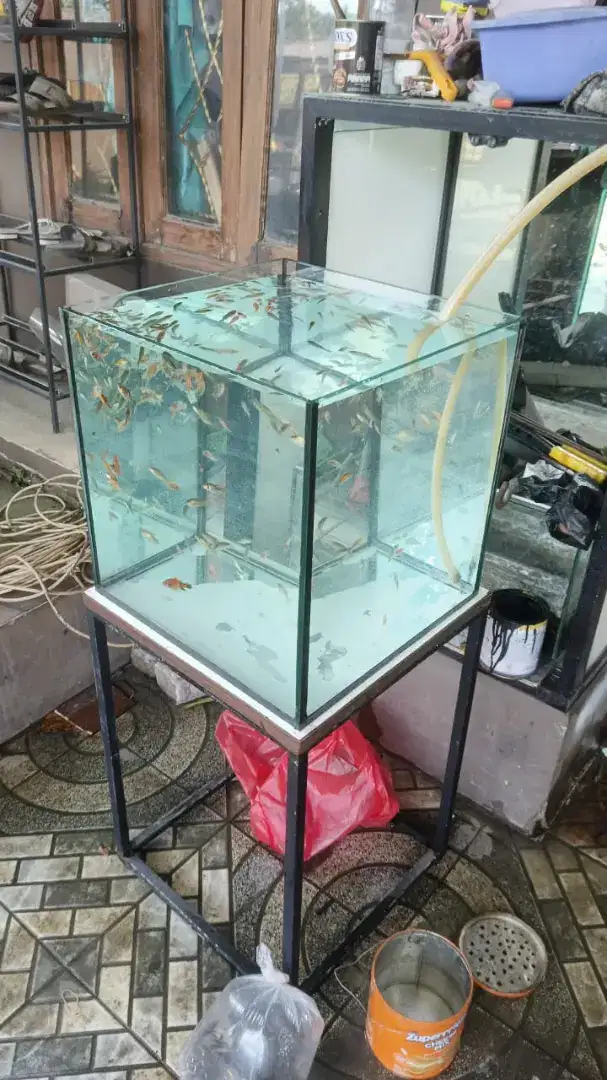 Aquarium ikan 50x50 dan tatakan besi