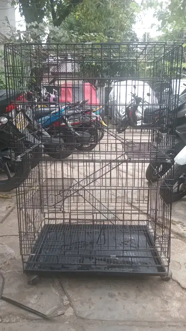 Kandang kucing tingkat