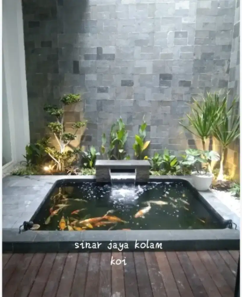 Kolam minimalis ikan koi