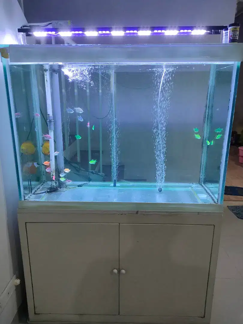 Jual set aquarium+ meja besi+perlengkapan+ikan