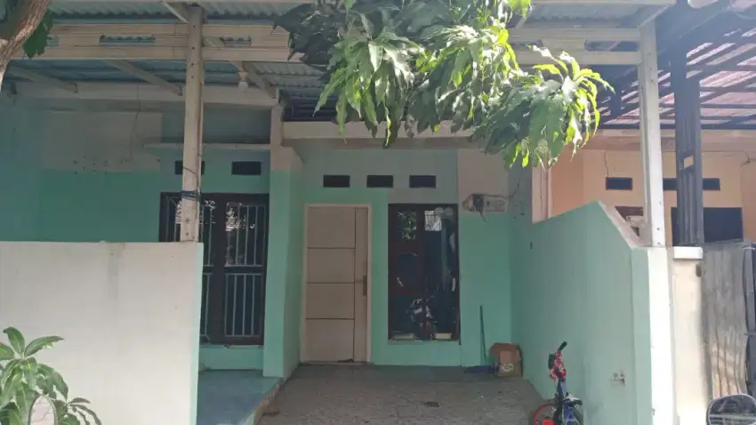 Dikontrakan rumah pertahun