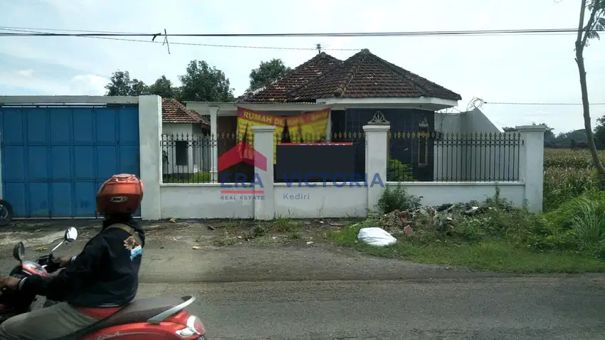 Rumah + Sawah DIJUAL terletak di jalan raya