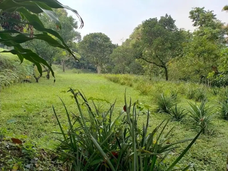 tanah murah daerah Sentul gunung gelies