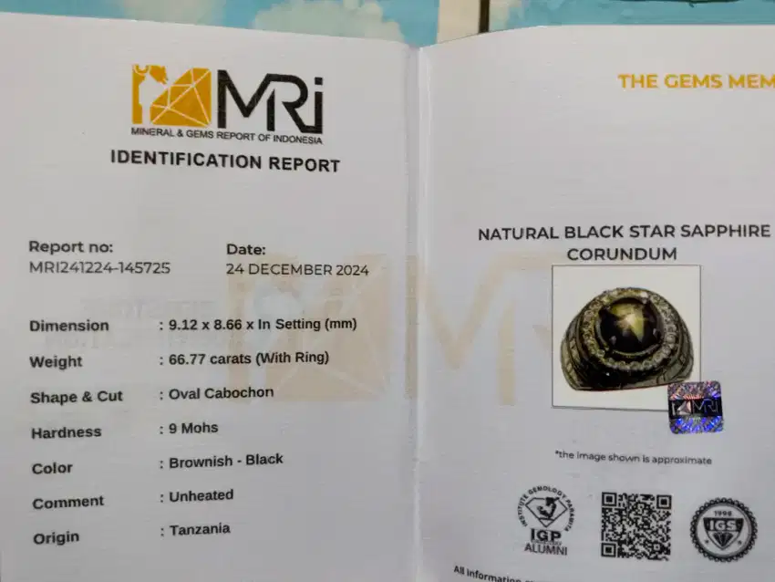 NATURAL BlACK SAPPHIRE STAR(Rare Star&Gambar kalelawar putih)
