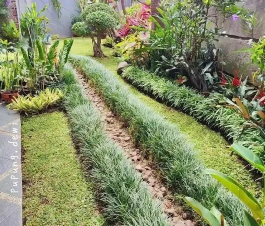 Bikin taman asri rumput hijauan, vertical garden dll