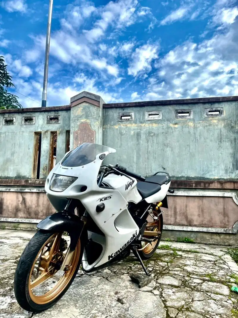 ninja rr old albino 2007 faktur ada