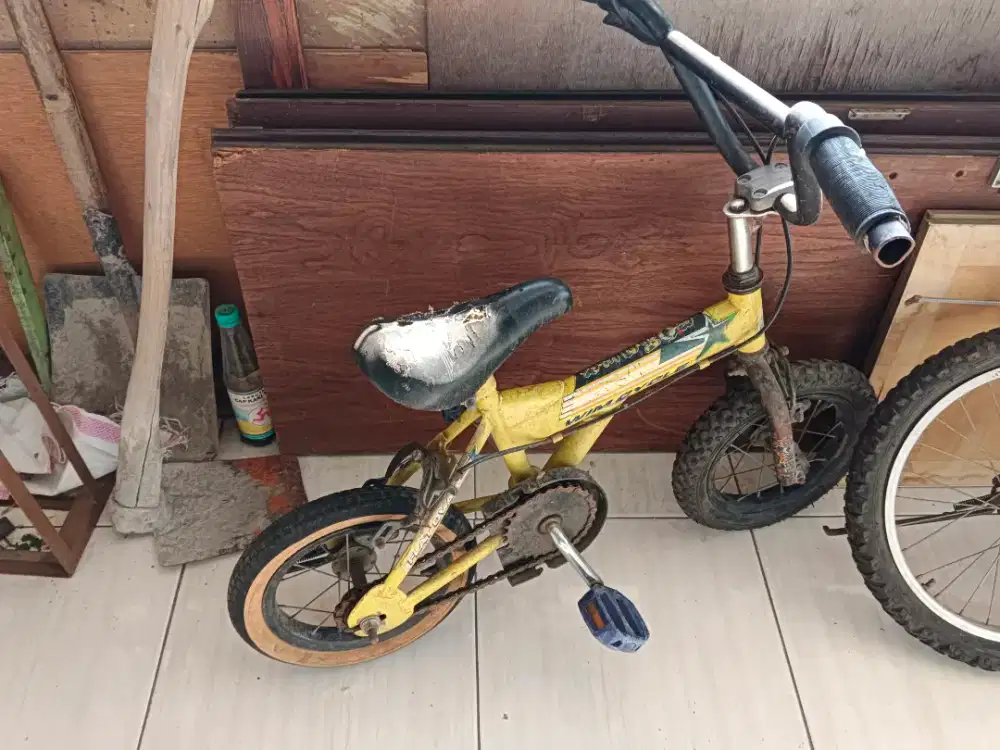 Jual Sepeda Anak